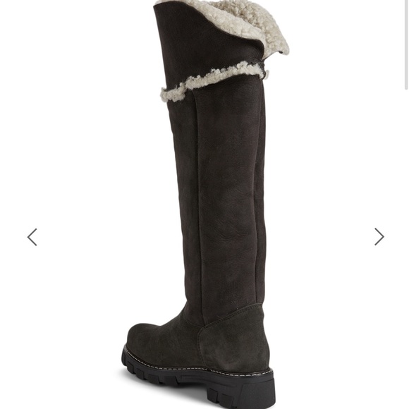 La Canadienne NEW Tammy Suede & Shearling boots - Picture 2 of 8